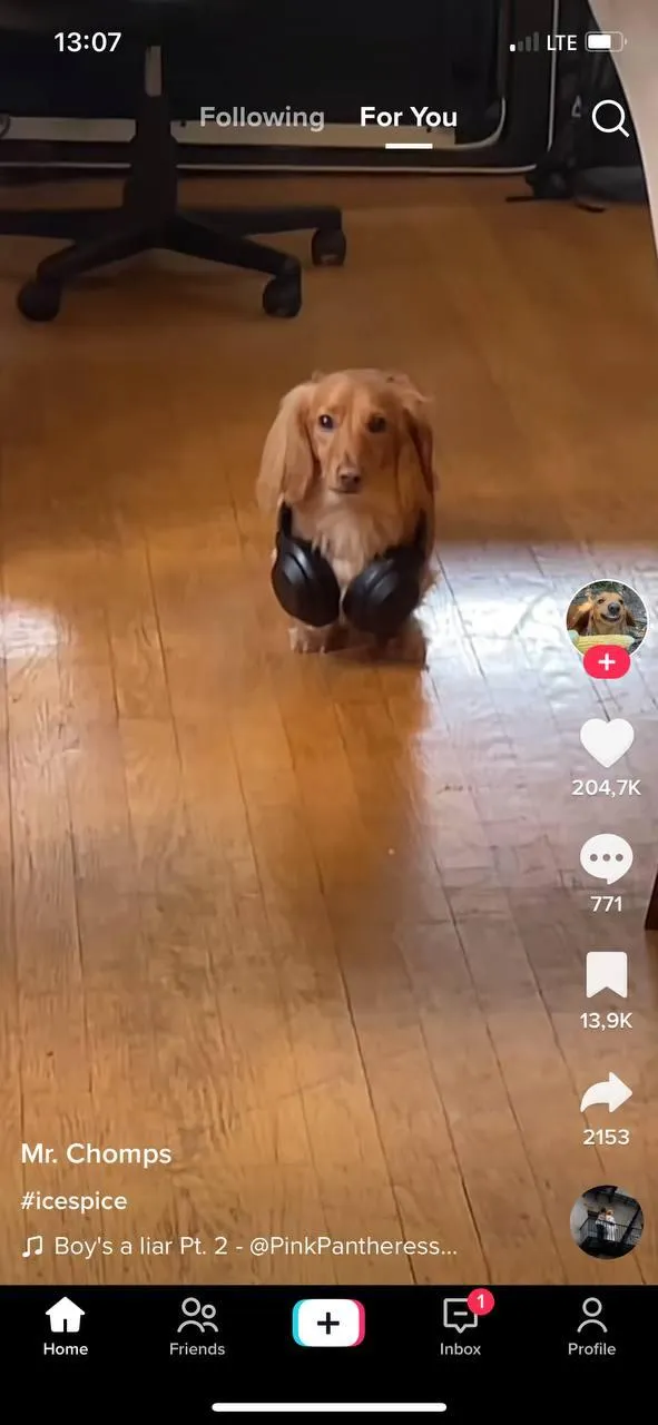 TikTok general feed